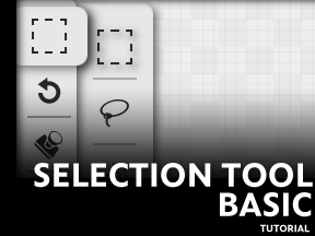 Selection Tool Basics