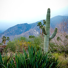 mainattraction_120403_230