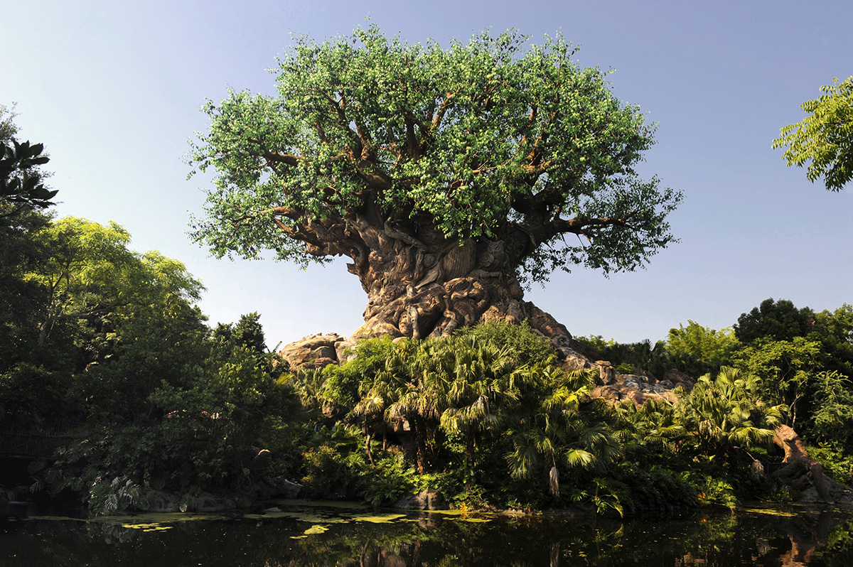 Disney Animal Kingdom - The Tree of Life
