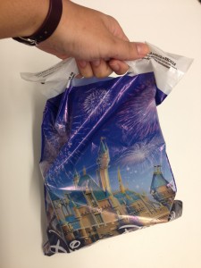 Disney Store bag