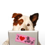 Dog With A Blog